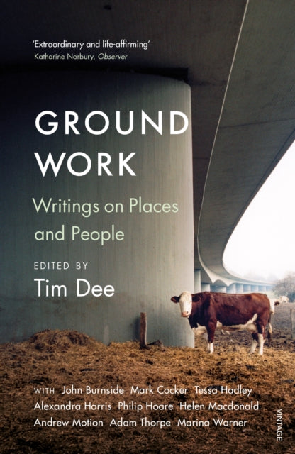 Ground Work : Writings on People and Places - 9781784703462