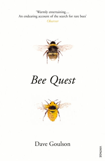 Bee Quest - 9781784704803