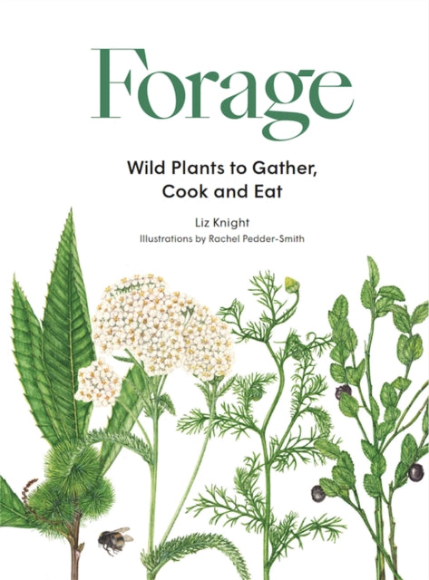 Forage : Wild plants to gather and eat - 9781786277350