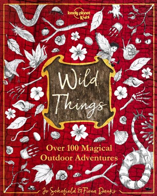 Lonely Planet Kids Wild Things - 9781787017719