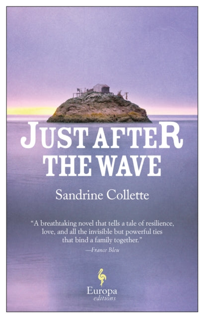 Just After the Wave - 9781787702127