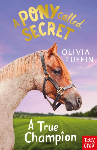 A Pony Called Secret: A True Champion - 9781788005432