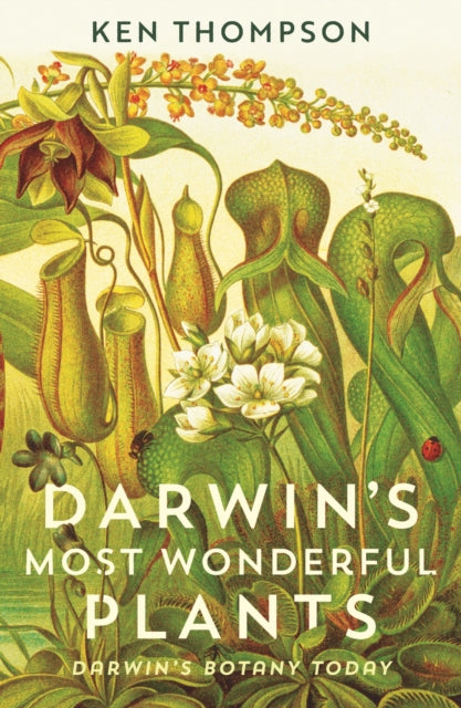 Darwin's Most Wonderful Plants : Darwin's Botany Today - 9781788160292