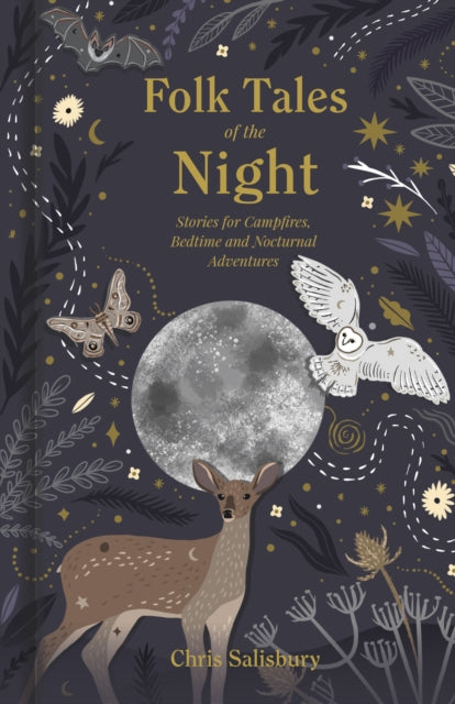 Folk Tales of the Night : Stories for Campfires, Bedtime and Nocturnal Adventures - 9781803990392