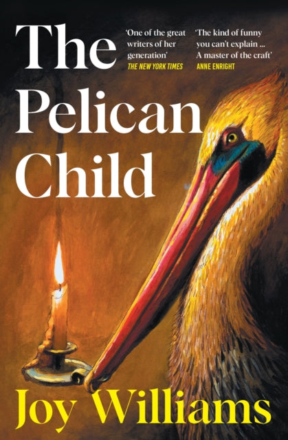 The Pelican Child : Longlisted for the 2025 National Book Award - 9781805228578