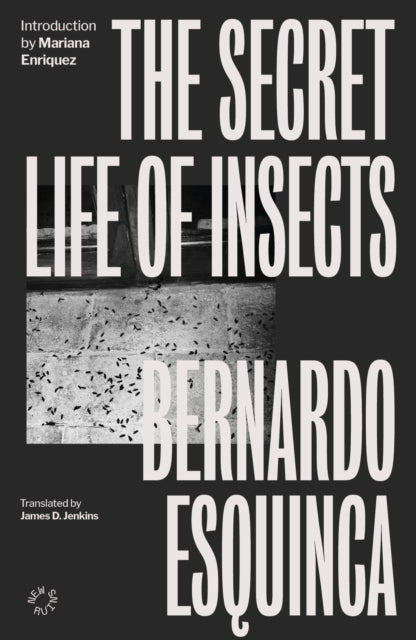 The Secret Life of Insects - 9781838171643