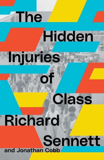 The Hidden Injuries of Class - 9781839767951