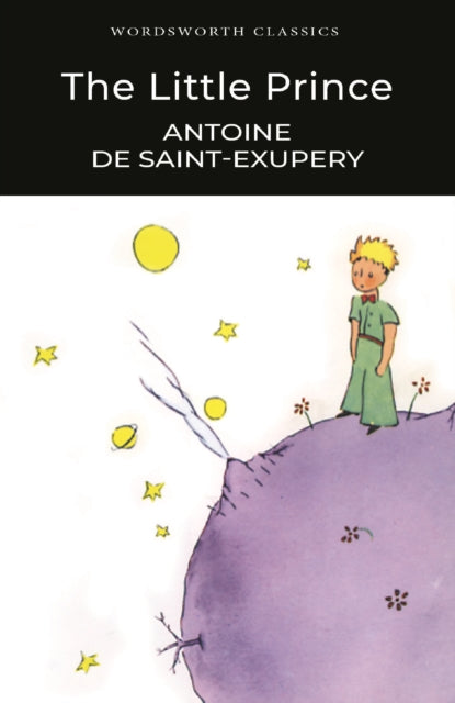 The Little Prince - 9781840227604