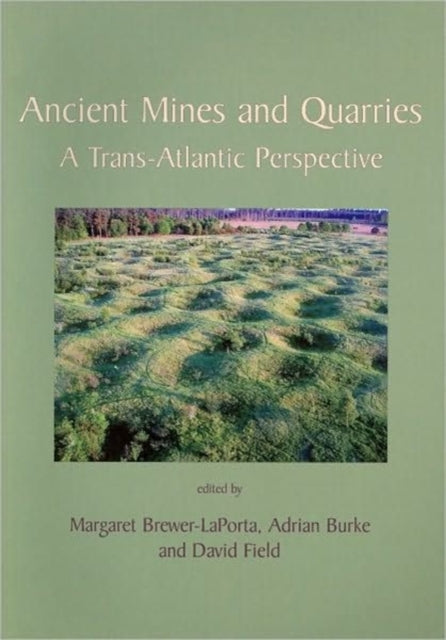 Ancient Mines and Quarries : A Trans-Atlantic Perspective - 9781842174012