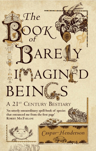 The Book of Barely Imagined Beings : A 21st-Century Bestiary - 9781847082442