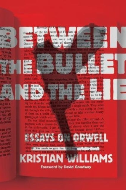 Between The Bullet And The Lie : Essays on Orwell - 9781849352901