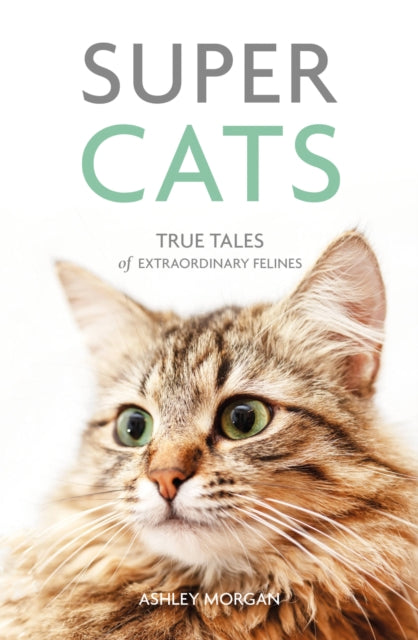 Super Cats : True Tales of Extraordinary Felines - 9781849539982