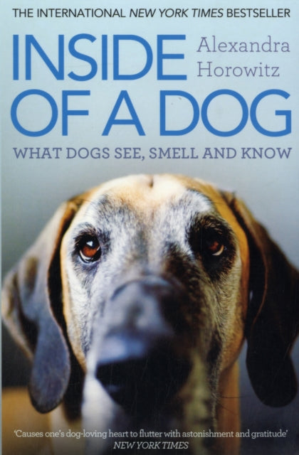 Inside of a Dog : What Dogs See, Smell, and Know - 9781849835671