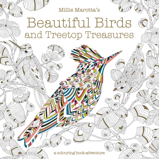 Millie Marotta's Beautiful Birds and Treetop Treasures : A colouring book adventure - 9781849944434