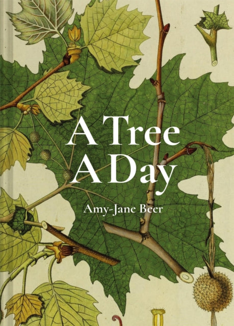 A Tree A Day - 9781849946520