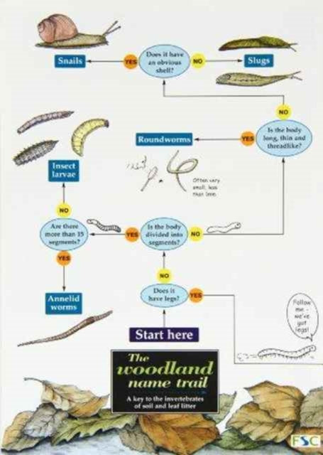 The woodland name trail : A key to the invertebrates of soil and leaf litter - 9781851538324