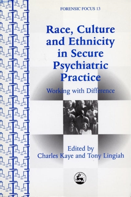 Race, Culture and Ethnicity in Secure Psychiatric Practice : Working with Difference - 9781853026966