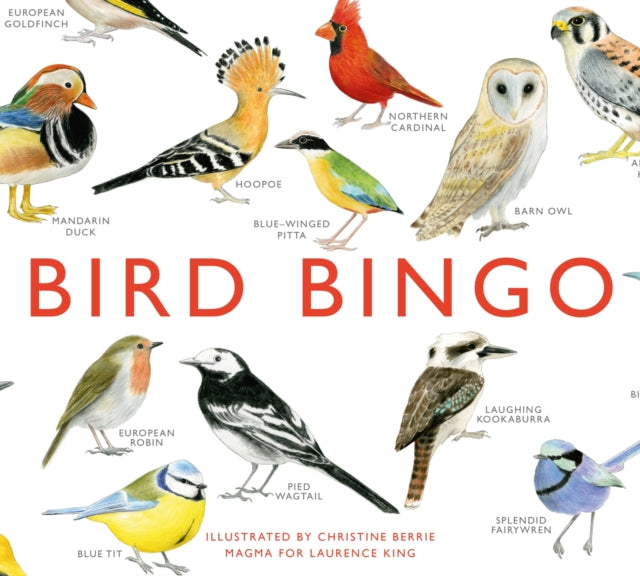 Bird Bingo - 9781856699174