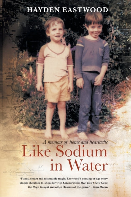 Like sodium in water : A memoir of home and heartache - 9781868428540