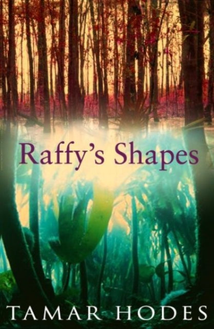 Raffy's Shapes-9781905170173