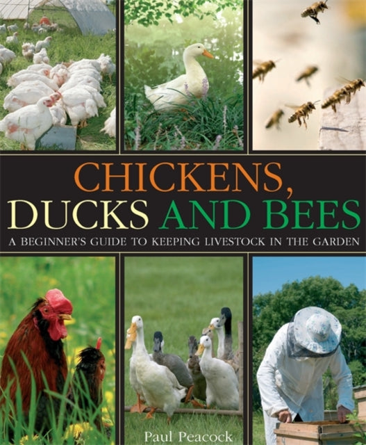 Chickens, Ducks and Bees : A beginner's guide to keeping livestock in the garden - 9781905862573