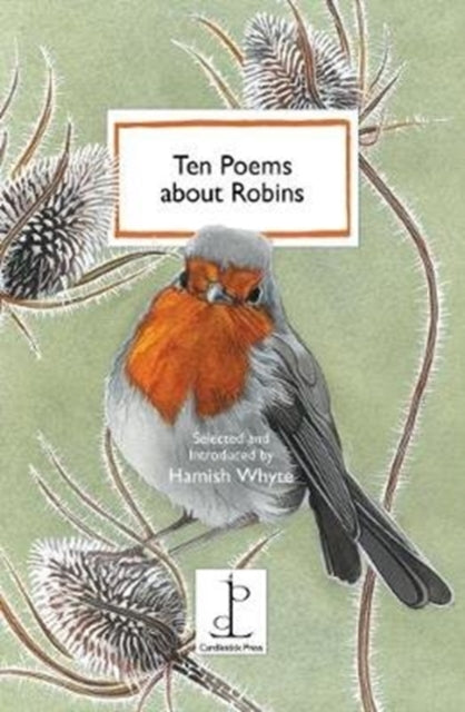 Ten Poems about Robins - 9781907598753