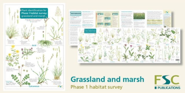 Plant Identification for Phase 1 Habitat Survey: Grassland and Marsh - 9781908819260