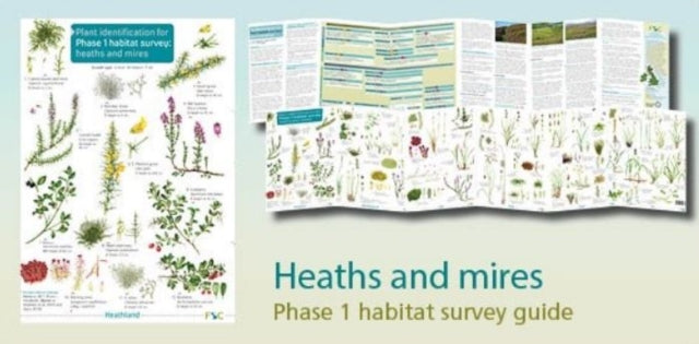 Plant identification for Phase 1 habitat survey: heaths and meres - 9781908819338