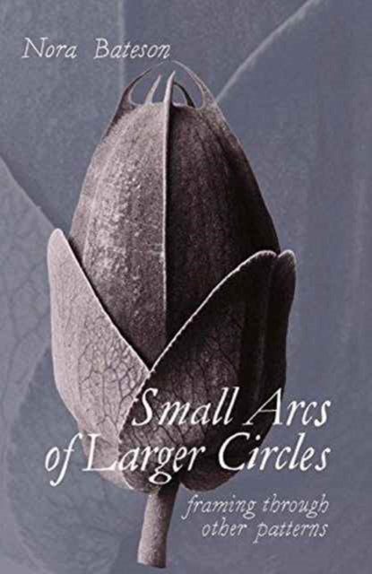 Small Arcs of Larger Circles : Framing Through Other Patterns - 9781909470965