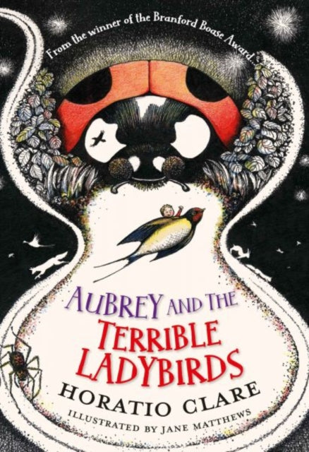 Aubrey and the Terrible Ladybirds : 2 - 9781910080504