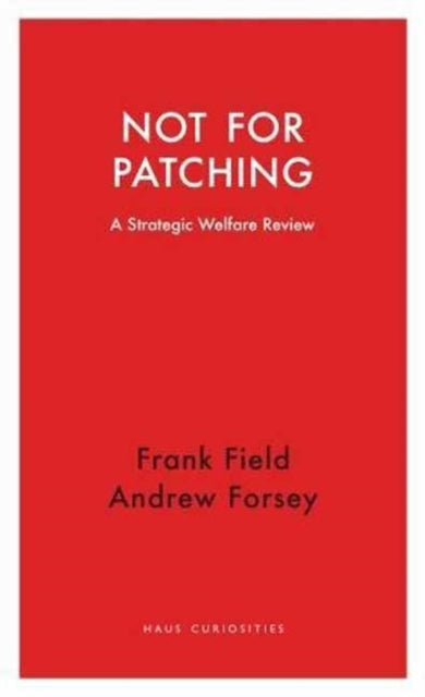 Not for Patching : A Strategic Welfare Review - 9781910376799