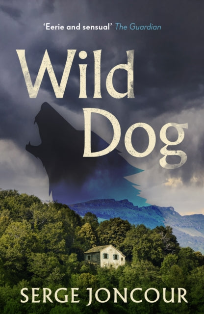 Wild Dog: Sinister and savage psychological thriller - 9781910477861