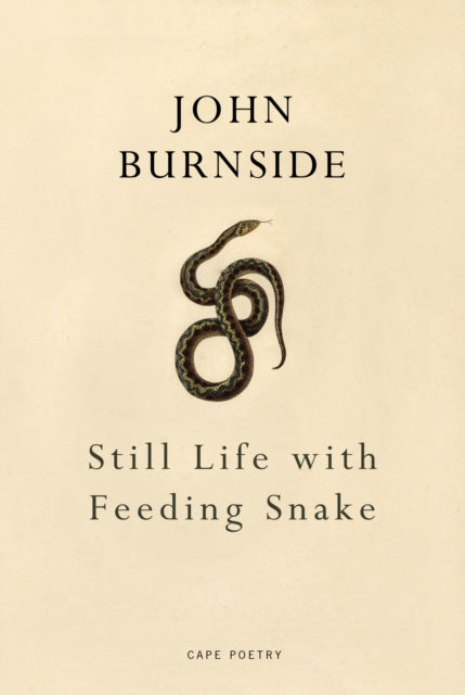 Still Life with Feeding Snake - 9781910702413