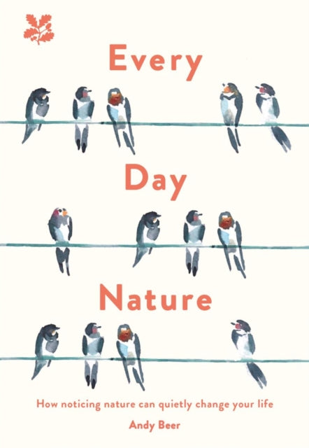 Every Day Nature : How Noticing Nature Can Quietly Change Your Life - 9781911657095