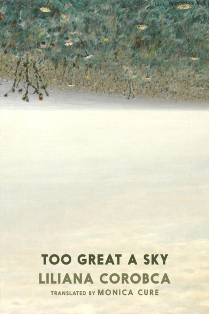 Too Great A Sky - 9781911710134