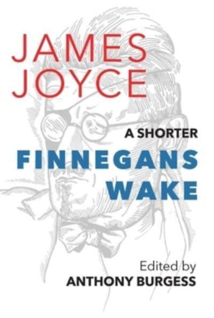 A Shorter Finnegans Wake - 9781912916931