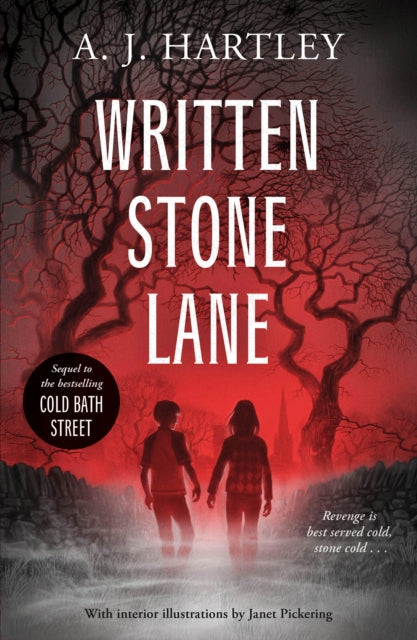 Written Stone Lane - 9781912979073