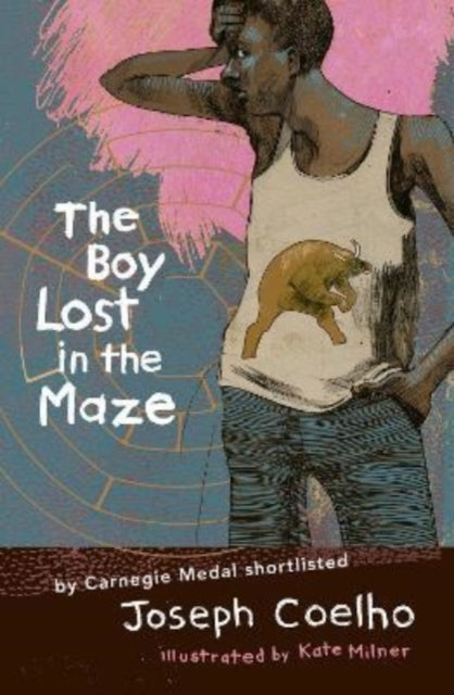 The Boy Lost in the Maze - 9781913074333