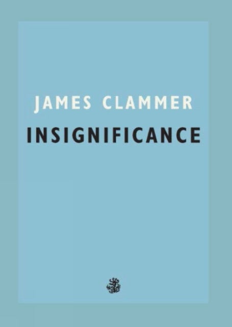 Insignificance - 9781913111069