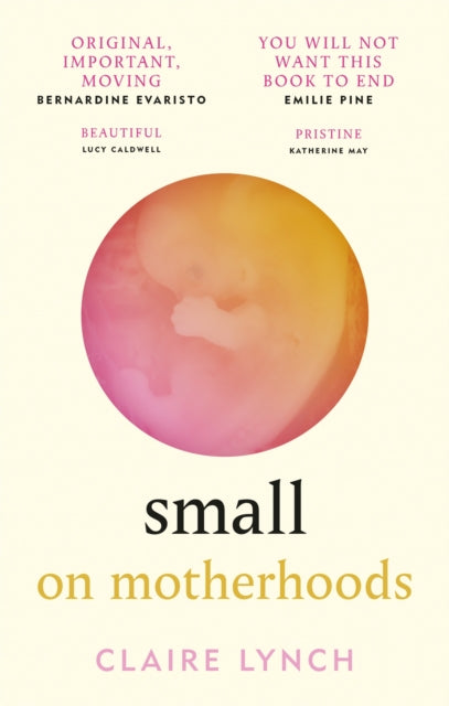 Small : On motherhoods - 9781914240058