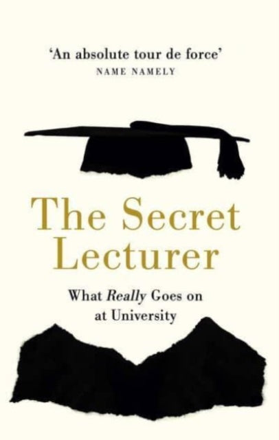 The Secret Lecturer : What Really Goes on at University - 9781914487217