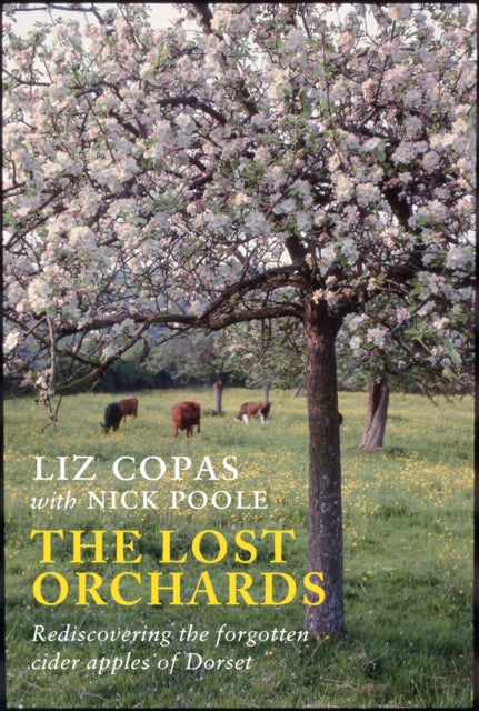 The Lost Orchards : Rediscovering the forgotten apple varieties of Dorset - 9781915068095