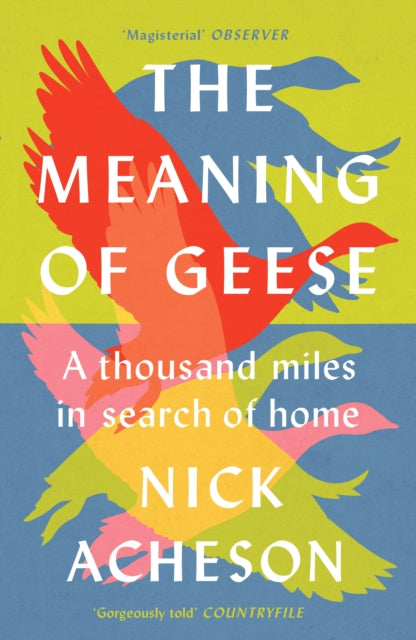 The Meaning of Geese : A Thousand Miles in Search of Home - 9781915294258