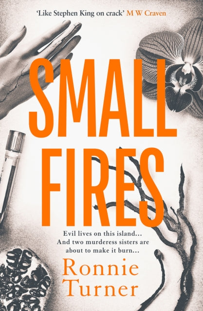 Small Fires : This year's most unsettling, hypnotic contemporary gothic thriller - 9781916788473