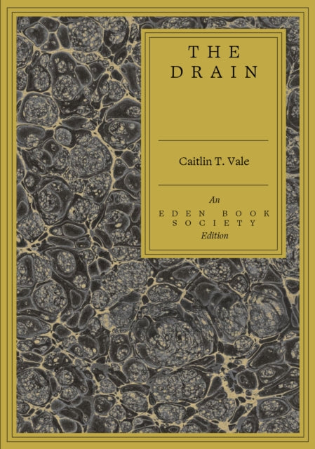 The Drain - 9781917792684