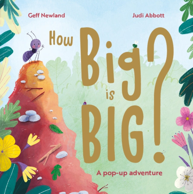 How Big is Big? - 9781918030013