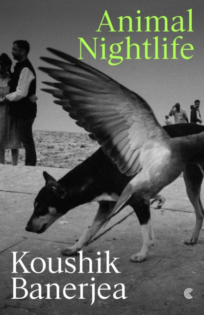 Animal Nightlife - 9781919184722