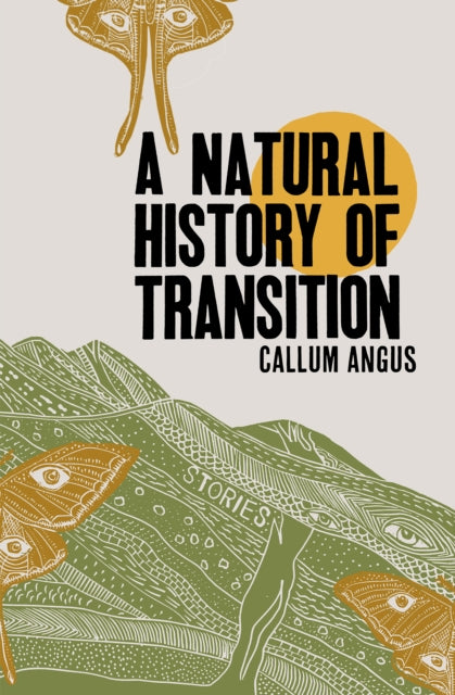 A Natural History Of Transition : Stories - 9781999058876