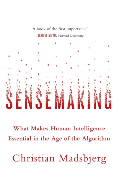 Sensemaking : What Makes Human Intelligence Essential in the Age of the Algorithm-9780349142258