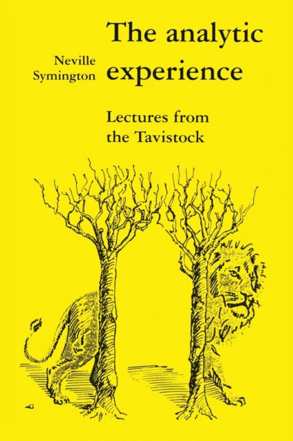 The Analytic Experience : Lectures from the Tavistock-9780946960309